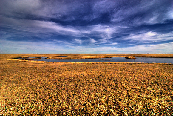 Potter County