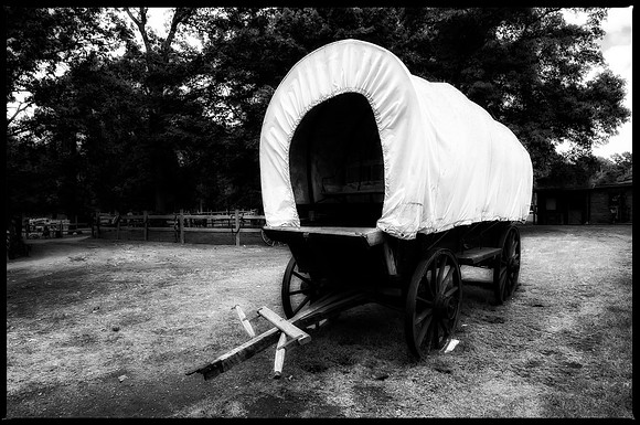 Wagons Ho!
