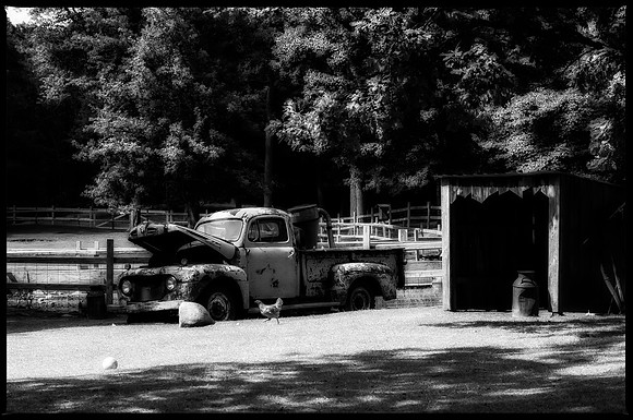 Out Back