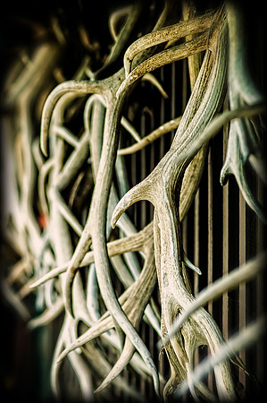 The Racks